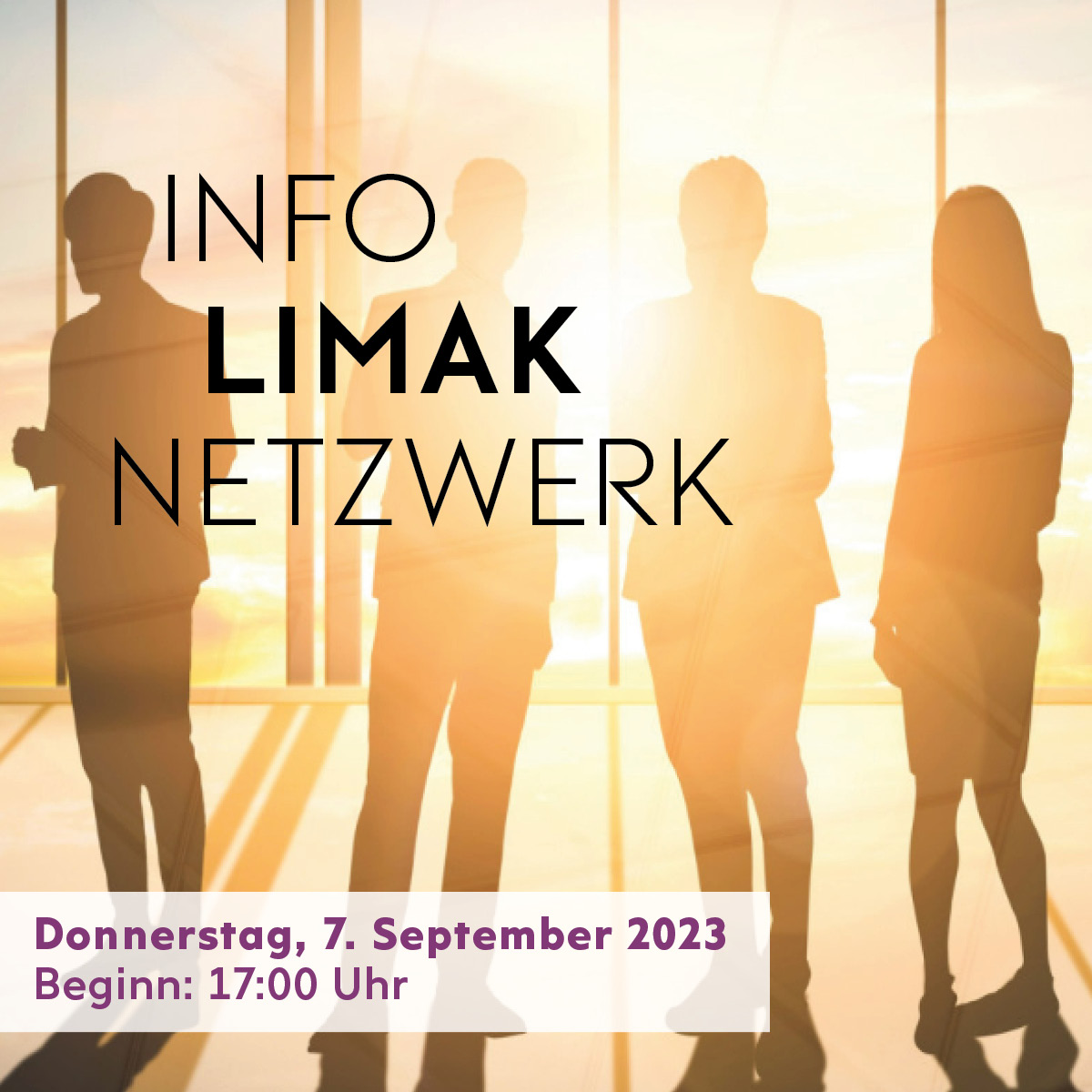 Info Netzwerkevent Linz